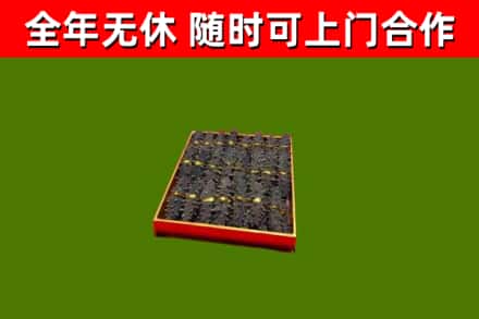 屏东回收海参